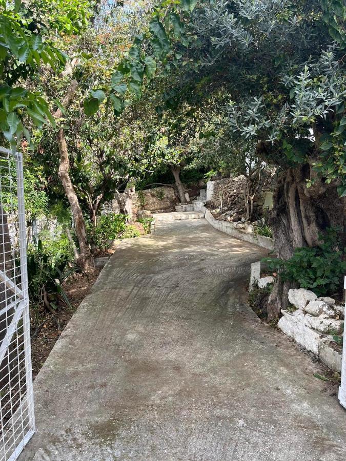 Aegean Summer House Πόρος Εξωτερικό φωτογραφία